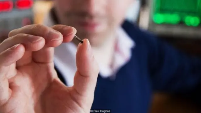 माइक्रोचिप