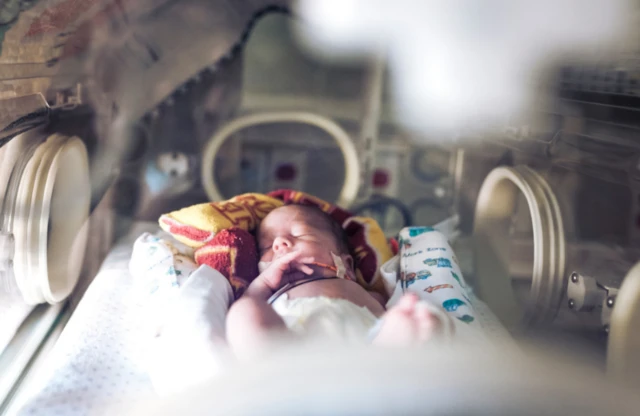 ทารกในตู้อบ