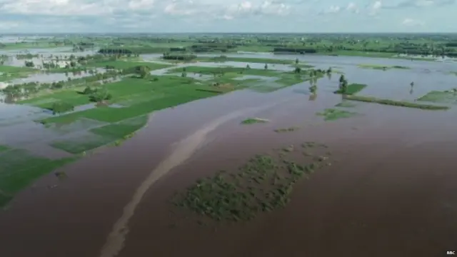 ਪੰਜਾਬ 'ਚ ਹੜ੍ਹ