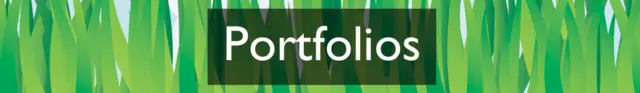 Section heading: Portfolios