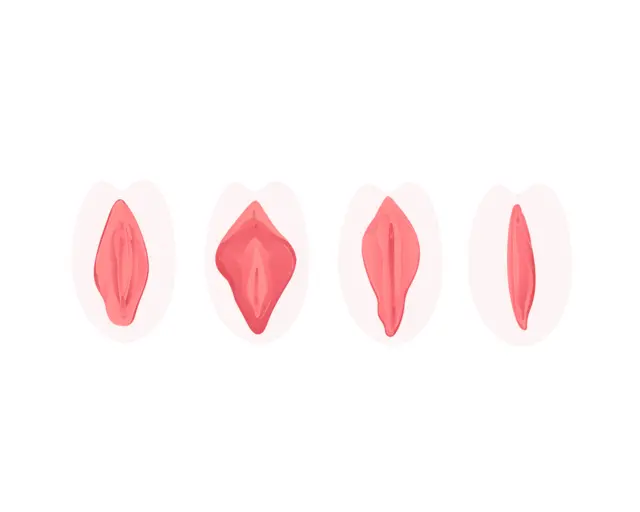 Ilustraçõescomo ganhar dinheiro no fruit slotsvaginas