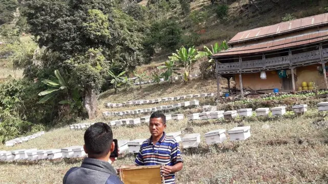 मौरी पालन