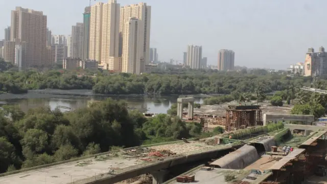 खारफुटी