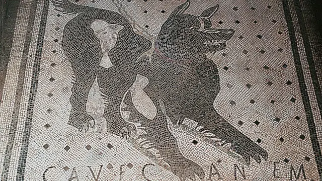 Cave Canem - Cuidado con el perro