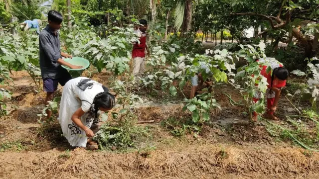 జట్టు ఆశ్రమం