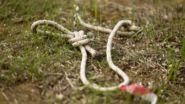 rope at nova festival site