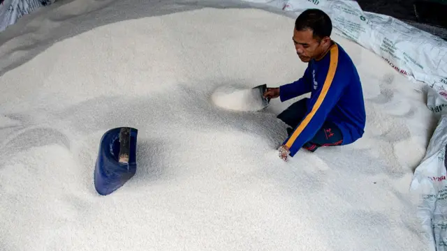 harga beras hari ini