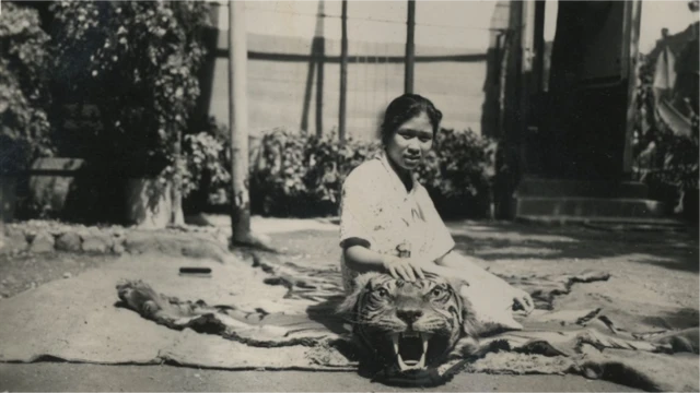 Seorang perempuan duduk di atas kulit harimau yang menjadi koleksi pribadi di zaman Hindia Belanda.