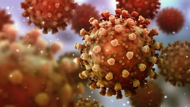 කොරෝනා වෛරසය