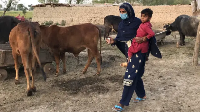 کورونا وائرس، اوکاڑہ، پنجاب، بصیرپور، پاکستان