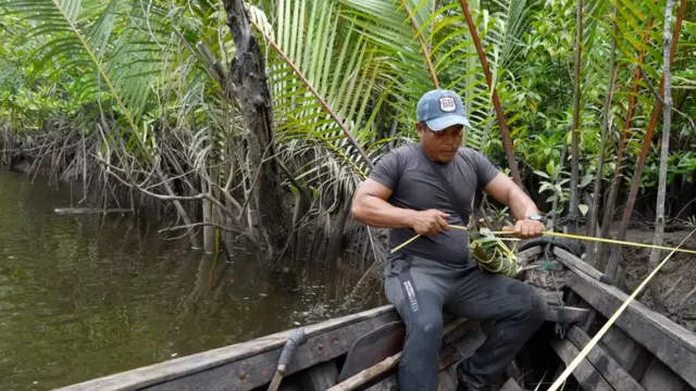 Suheri menyusun alat asap yang diambil dari daun-daun nipah untuk mengusir lebah.