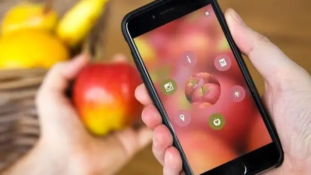 Blippar enfocando una manzana.