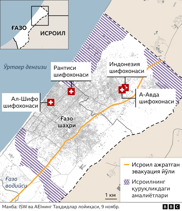 шифохоналар