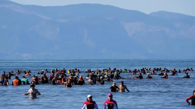 Decenas de voluntarios sumergidos hasta la cintura en el agua