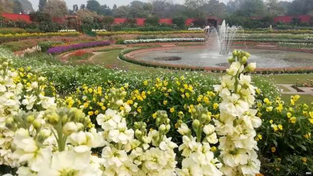 ਰਾਸ਼ਟਰਪਤੀ ਭਵਨ ਦੇ ਅੰਦਰ ਬਣਿਆ ਮੁਗਲ ਗਾਰਡਨ