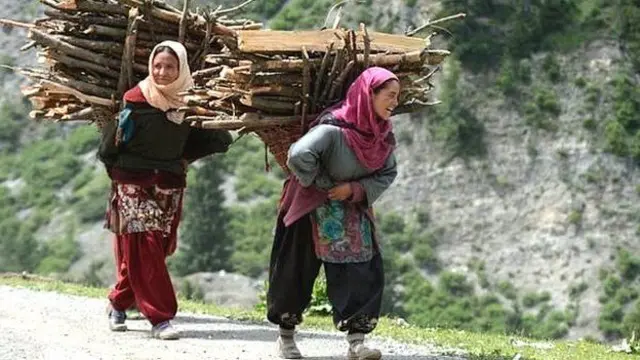 காஷ்மீர்