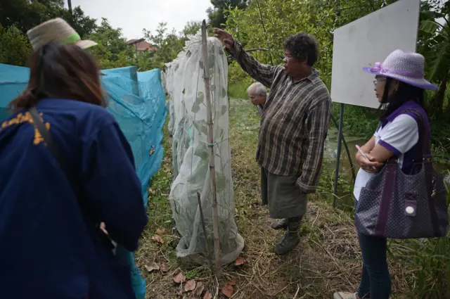 สมโภชน์