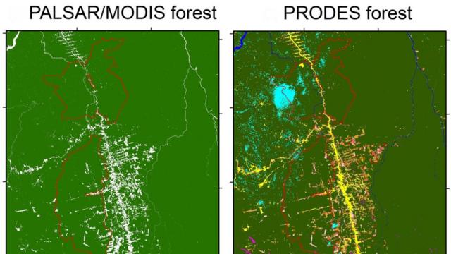 Recorte feitos pelos pesquisadores comparando imagens do método da pesquisa (PALSAR/MODIS) com o PRODES