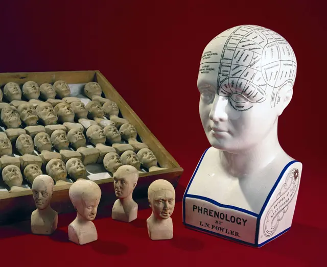 Una cabeza frenológica hecha por los hermanos estadounidenses Lorenzo y Orson Fowler, 1860-1896, y una caja de cabezas pequeñas hechas en 1831 por William Bally de Irlanda, para ilustrar las teorías de la frenología.