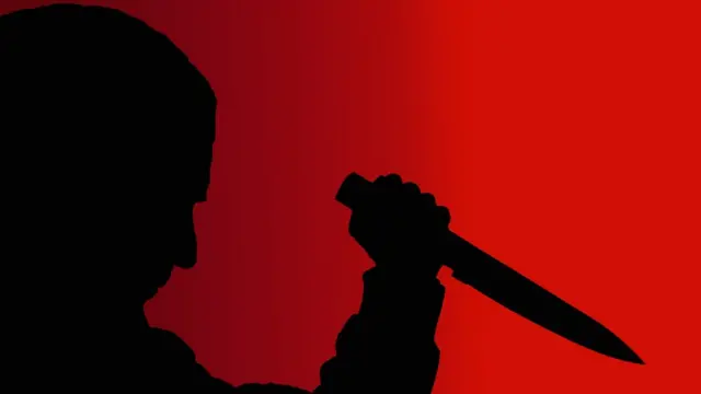 கனடாவில் தமிழக மாணவி மீது கத்தி, துப்பாக்கியால் தாக்குதல் - நடந்தது என்ன?