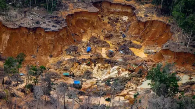 అమెజాన్ అడవులలో కీలకమైన రిజర్వ్ ప్రాంతాలను వ్యవసాయానికి, మైనింగ్కు అప్పగించేందుకు బ్రెజిల్ అధ్యక్షుడు బోల్సనారో ప్రయత్నాలు చేస్తున్నారు.
