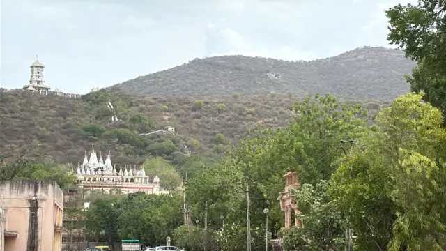 સિંહ, બીબીસી ગુજરાતી