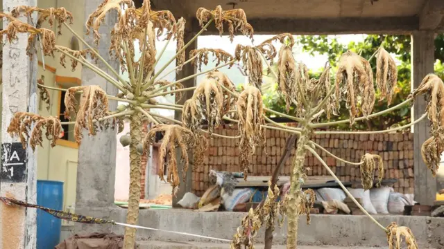 విశాఖ గ్యాస్ లీక్