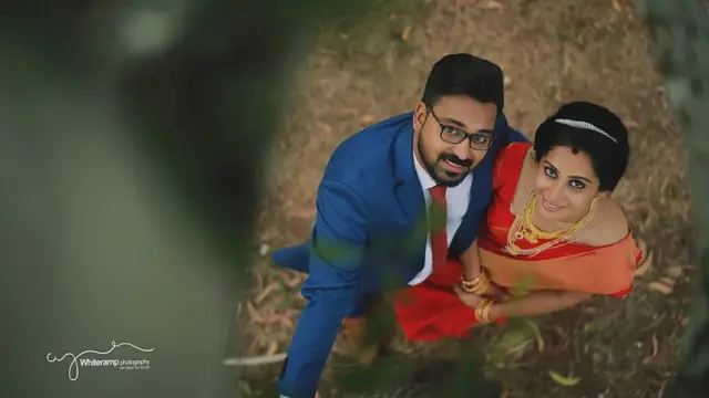 গাছ থেকে তোলা হয়েছে এই ছবিটি