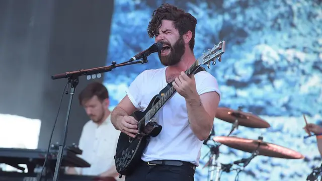 Foals