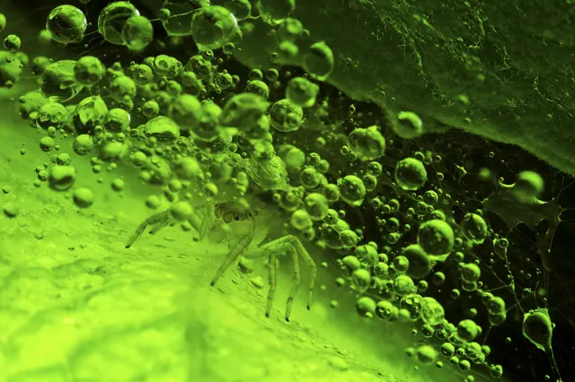 Fantastic Homeland by Yi Fan