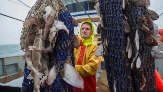 Redes de pescado llenas a bordo de un barco.