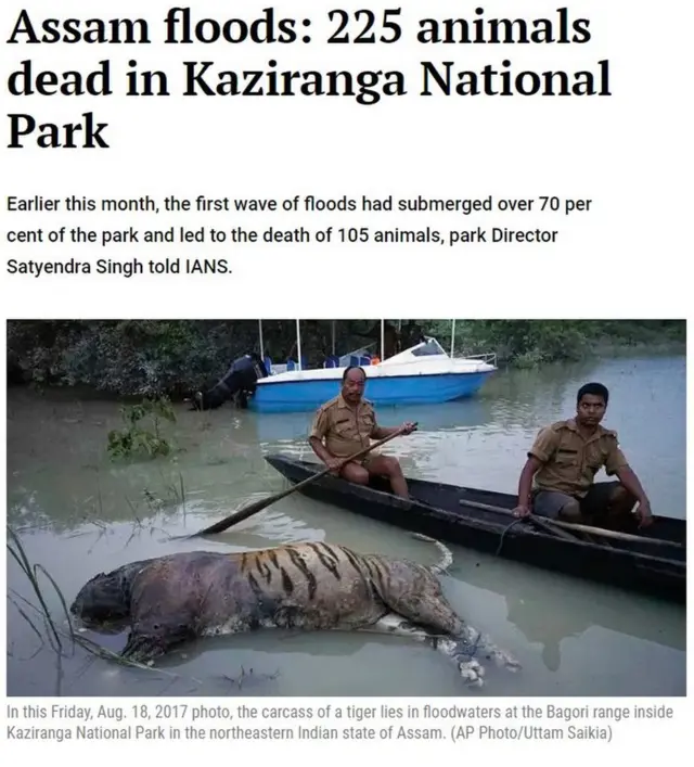 सोशल मीडिया