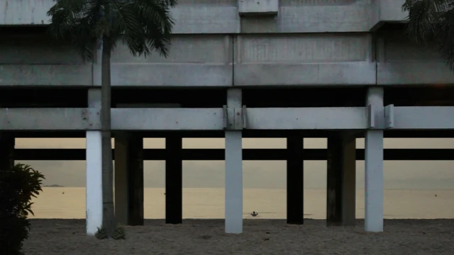 Свакодневник