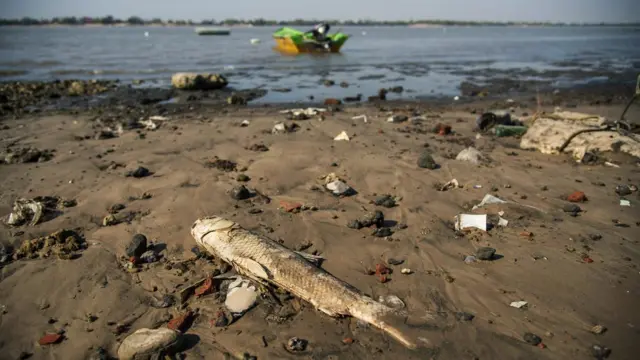 Argentinadakı quraqlıq