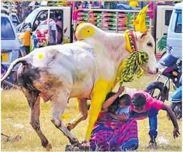 வைரலாகும் புகைப்படம்