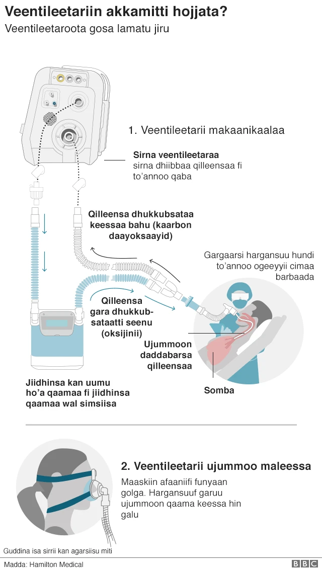 dizaayina veentileetarri akkamiin akka hojjetu agarsiisu