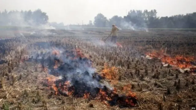 ਪਰਾਲੀ ਸਾੜਨ ਨੂੰ ਵੀ ਪ੍ਰਦੂਸ਼ਣ ਦਾ ਮੁੱਖ ਕਾਰਨ ਮੰਨਿਆ ਜਾਂਦਾ ਹੈ