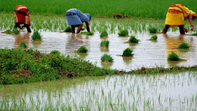 விவசாயி