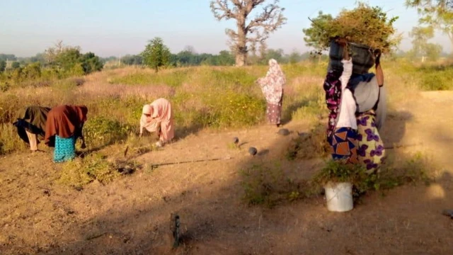 working for di graveyard