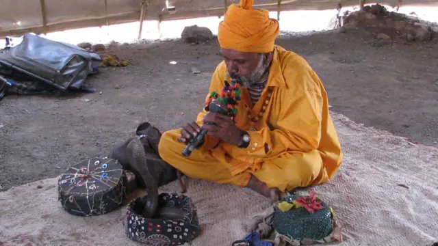 વિચરતા-વિમુક્ત સમુદાય