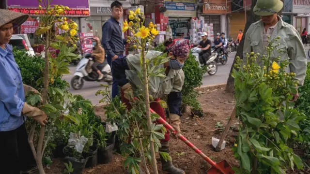 Nhiều nhân viên trồng thêm cây dọc đường Giảng Võ gần Đại sứ quán Mỹ trước cuộc hội nghị thượng đỉnh Trump-Kim hồi tháng 2