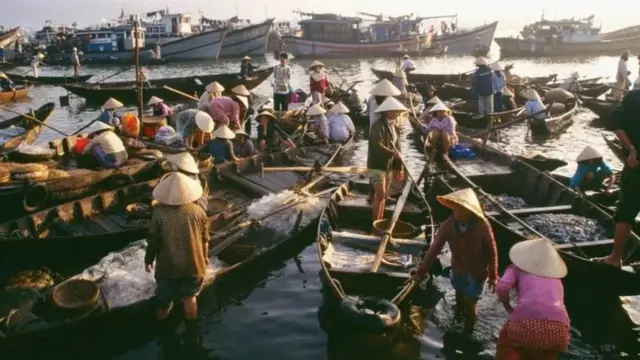 பாஸா மீன்