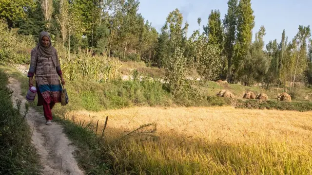 जम्मू कश्मीर