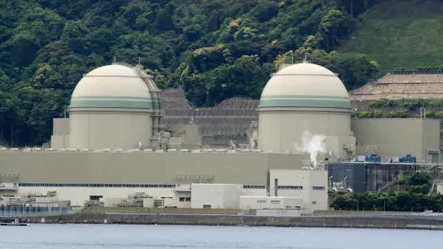 न्यूक्लियर प्लांट, जापान