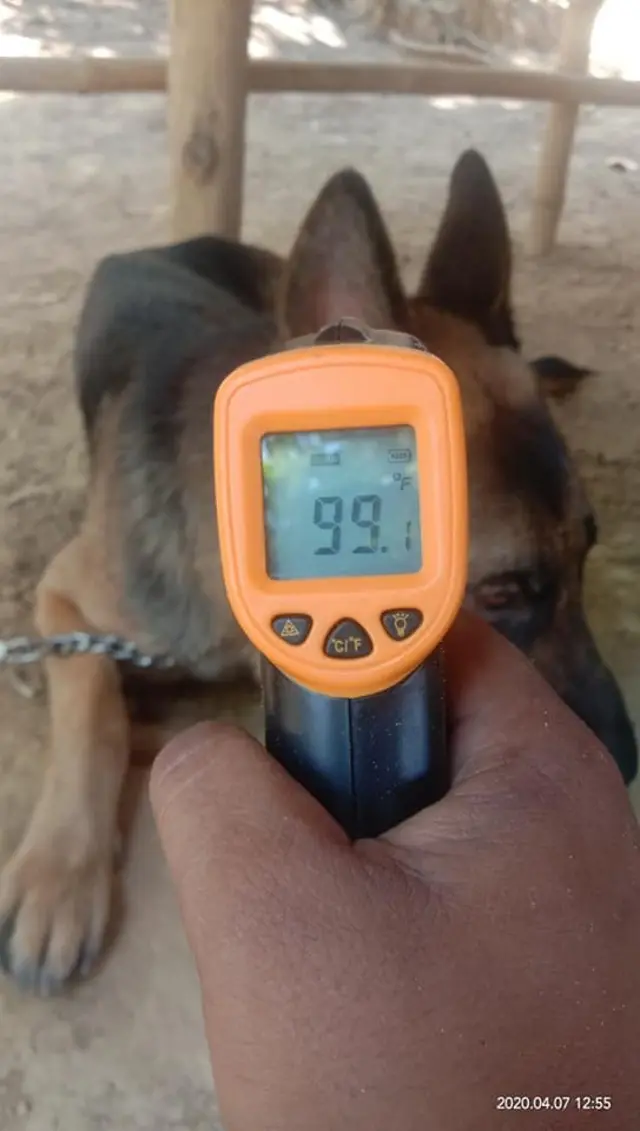 အပူချိန်တိုင်းစဉ်