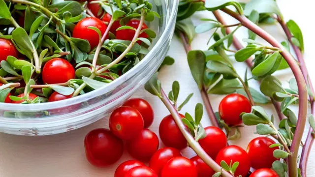 લૂણીની ભાજી