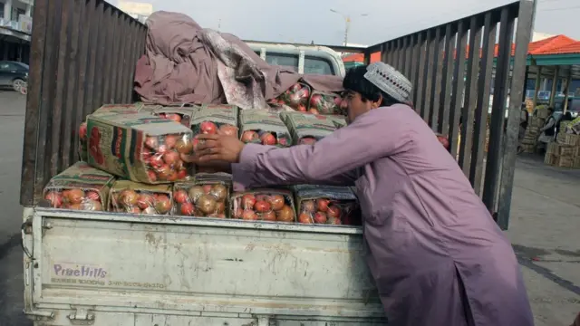 د کندهار انار