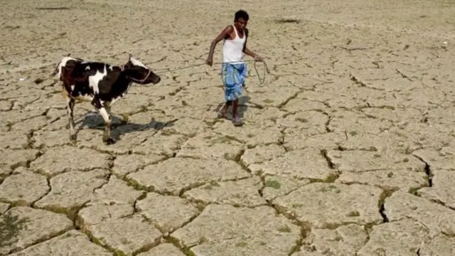पाऊस, स्कायमेट
