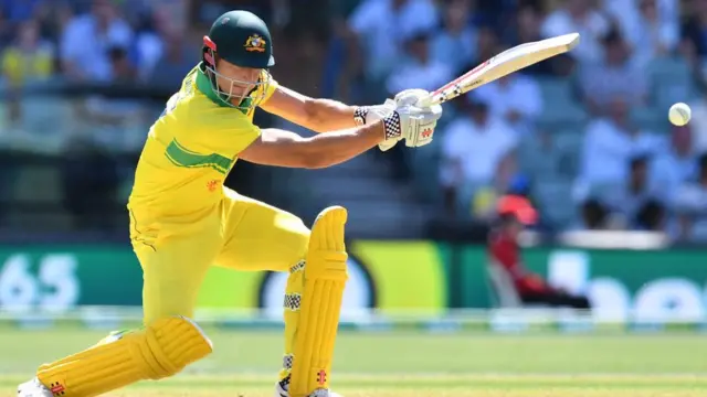 क्रिकेट