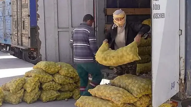 Карго маркази